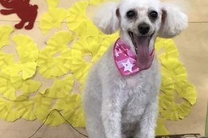 11月のお友達☆
