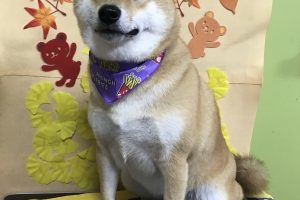 11月のお友達☆