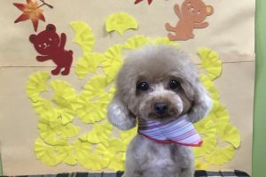 11月のお友達☆