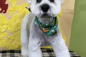 11月のお友達☆