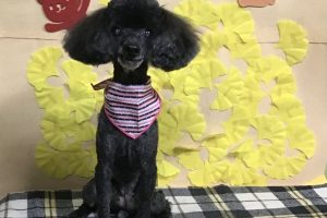 11月のお友達☆