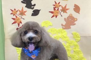 11月のお友達☆