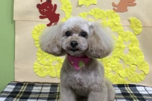 11月のお友達☆