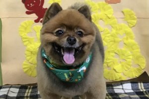 11月のお友達☆