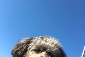 お泊まり中☆