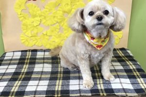 11月のお友達☆