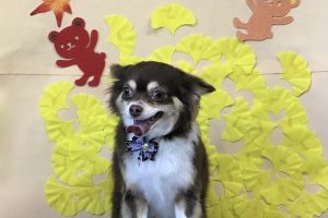 11月のお友達☆