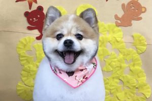 11月のお友達☆
