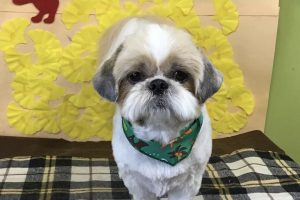 11月のお友達☆