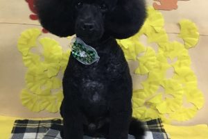 11月のお友達☆