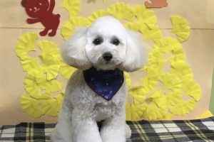 11月のお友達☆