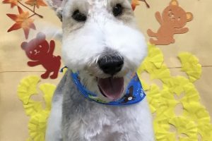 11月のお友達☆