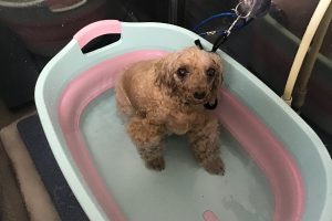 11月のお友達☆