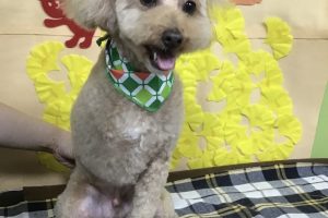 11月のお友達☆