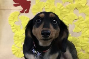11月のお友達☆
