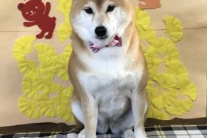11月のお友達☆