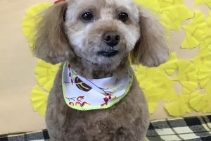 11月のお友達☆