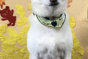 11月のお友達☆