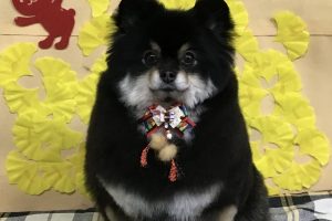 11月のお友達☆