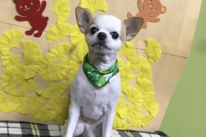 11月のお友達☆