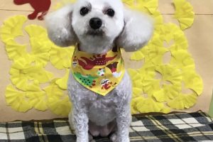 11月のお友達☆
