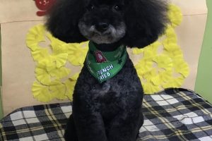 11月のお友達☆