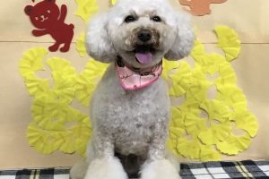 11月のお友達☆