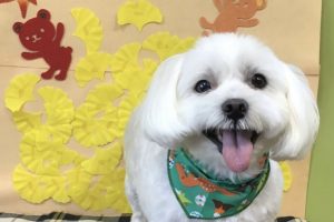 11月のお友達☆