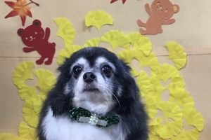 11月のお友達☆