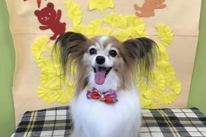 11月のお友達☆