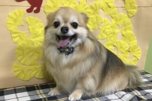 11月のお友達☆
