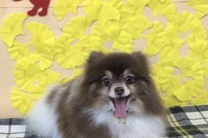 11月のお友達☆