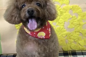 11月のお友達☆