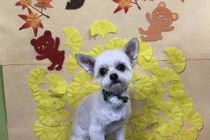 11月のお友達☆