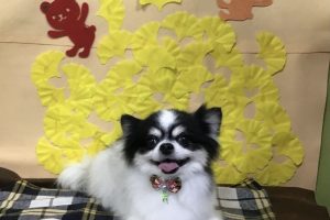11月のお友達☆