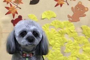 11月のお友達☆