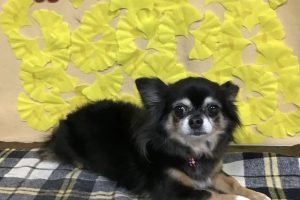 11月のお友達☆