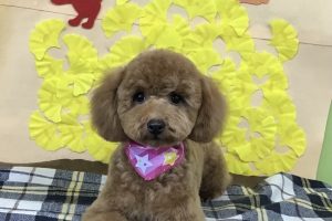 11月のお友達☆