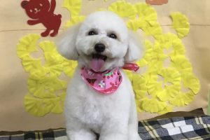 11月のお友達☆