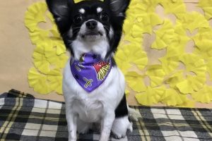11月のお友達☆
