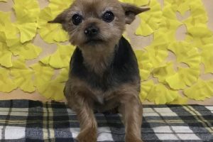 11月のお友達☆