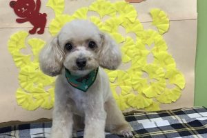 11月のお友達☆