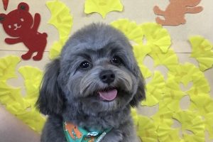11月のお友達☆