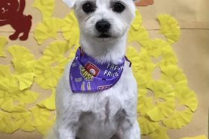 11月のお友達☆