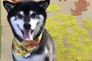 11月のお友達☆