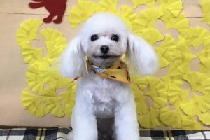 11月のお友達☆
