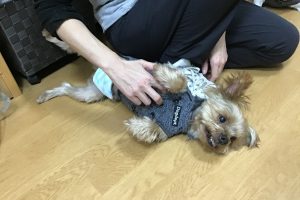お泊まり中☆