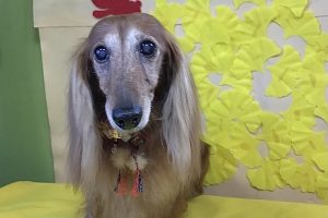 11月のお友達☆