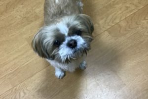 お泊まり中☆