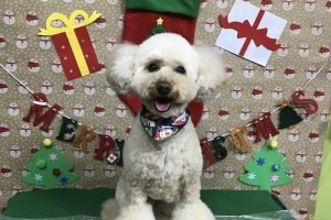 12月のお友達☆